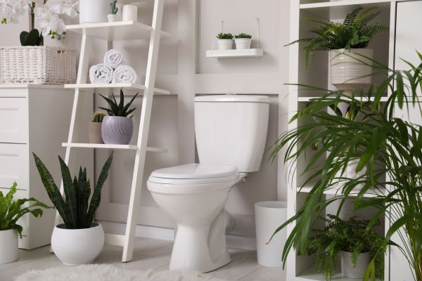 Cost of Toilet Repair in Newark