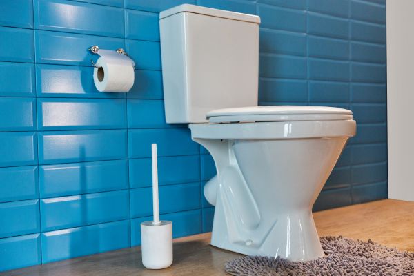 Cost of Toilet Tank Repair in Newark