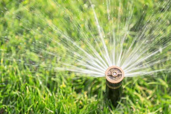 Cost of Spigot Installation in Newark