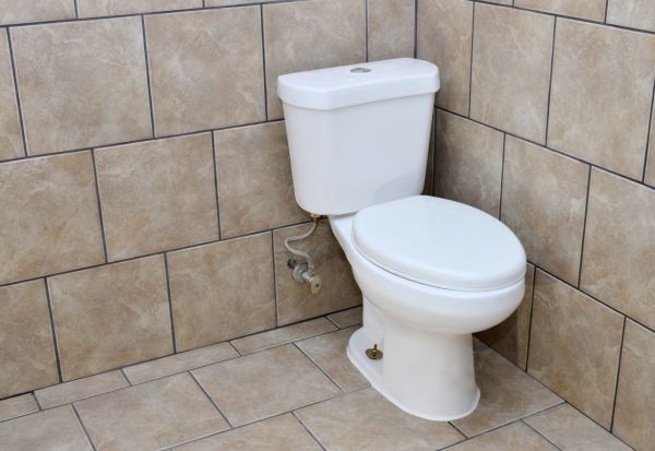 Cost of Basement Toilet Installation in Newark