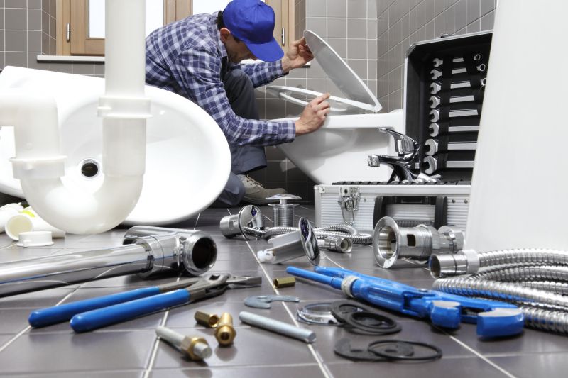 Backed Up Toilet Repair