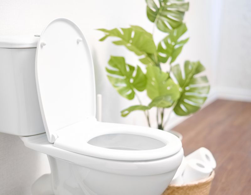 Commode Replacement
