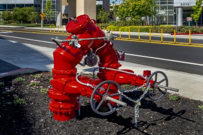 Backflow Repair detail