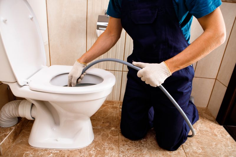 Toilet Snaking